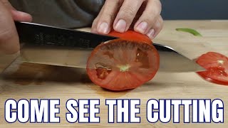 2024 BEST BUDGET KIRITSUKE CHEF KNIFE UNDER 70 KANNGOU FULL KNIFE REVIEW [upl. by Oknuj]