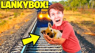 8 YouTubers Who SAVED ANIMALS LIVES LankyBox Preston DanTDM [upl. by Ahmed]