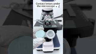 Contact lenses under the microscope 🔬amazing facts experiment [upl. by Nefets608]