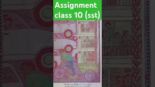 assignment class 10 sst eco shorts class10 youtubeshorts cbse [upl. by Renick]