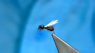 Tying a Foam Black Ant Dry Fly with Davie McPhail [upl. by Keyek]