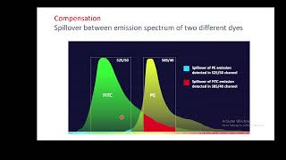 Flow cytometry and how to set compensation reaction [upl. by Llovera]