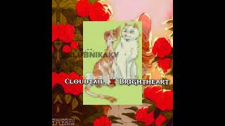 Cloudtail x Brightheart brightheart cloudtail warriorcats warriorcatsedit котывоители эдит [upl. by Parnas807]