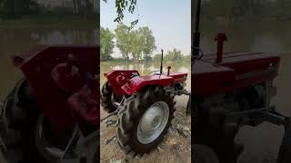 Massey Ferguson 135  1970 Vintage Tractor [upl. by Viguerie867]