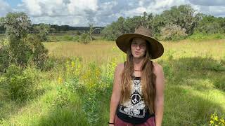 Pathways Permaculture Garden Tour  Terraced Food Forests  Berm and Swale Rain Water Catchment [upl. by Bernie468]