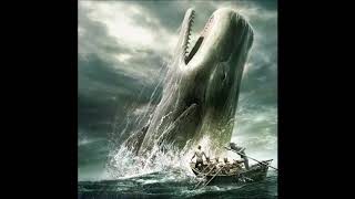 Moby Dick by Herman Melville 23 audiobook [upl. by Annirak368]