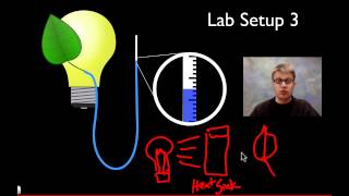 AP Biology Lab 9 Transpiration [upl. by Roland888]