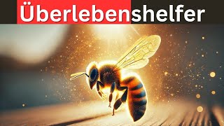 Geheimnis enthüllt Die heilende Macht der Bienen [upl. by Miculek]