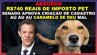 UBSURDO  IMPOSTO SOBRE PET  CÃES SERÃO TAXADOS [upl. by Aicad]