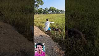 Village funny comedyshorts funny comedy viralvideo [upl. by Danny]