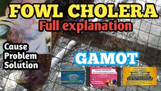 FOWL CHOLERA TREATMENT AND HOW TO AVOID IT FULL EXPLANATION [upl. by Keelin6]