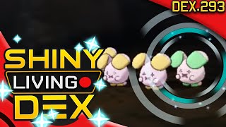 SHINY WHISMUR Live Reaction Quest For Shiny Living Dex 293  Pokemon ORAS [upl. by Irved]