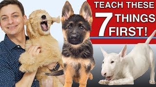 How to Teach The First 7 Things To Your Dog Sit Leave it Come Leash walking Name [upl. by Nnair]