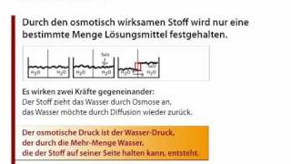 Teil 2  Die Osmose  ein Stoffaustausch der Zellen [upl. by Clauddetta]