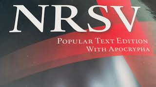 2 Esdras NRSV Bible Chapter 4 Apocryphal Audiobook [upl. by Stephenie156]