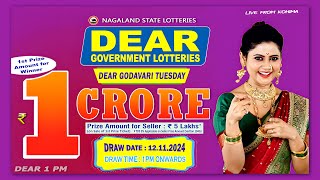 LOTTERY LIVE 1PM TODAY 12112024  Morning Nagaland Lottery Sambad LIVE [upl. by Aicelet464]