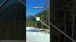 Breathing for HRV 4060 Method breathingforanxiety relaxing breathing hrv [upl. by Kobe]