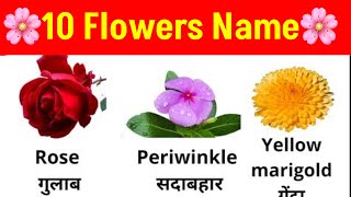 Phoolon ke Naam  10 phoolon ke naam  Phoolon ke naam hindi mein  15 flower name  Hina Study [upl. by Aisylla764]