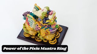 Discover the Power of the Pixiu Mantra Ring Feng Shui Jewelry for Prosperity and Protection [upl. by Antony78]