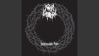 Immaculate Pain [upl. by Ahsekyt]