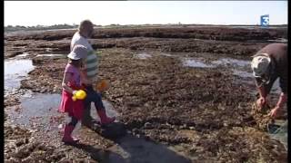 Un petit tour à lîle dAix pour y savourer son charme [upl. by Melly]