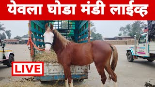 येवला घोडा मंडी लाईव्ह बाजार  yeola horse market [upl. by Dail]