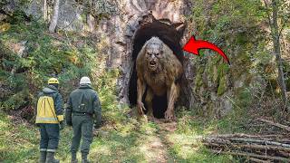 They Captured a Strange Creature in Cave What Happened Next Shocked Everyone [upl. by Jessie]