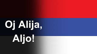 Serbian Patriotic Song  Sırp Savaş Şarkısı quotOj Alija Aljoquot Turkish Lyrics [upl. by Aubigny398]