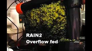 RAIN2 overflow fed [upl. by Aynav]