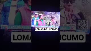 Las Lomas de Lucumo turismo [upl. by Leamsi]