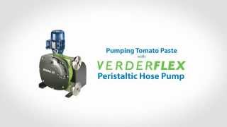 Pumping Tomato Paste with Verderflex Peristaltic Hose Pump [upl. by Airahs531]