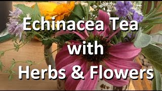 Echinacea Tea with Herbs amp Flowers [upl. by Verneuil913]