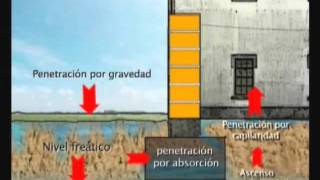 Problemas de Humedad y Soluciones en las Edificaciones [upl. by Kerwin]