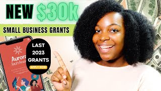 NEW 30K SMALL BUSINESS GRANTS  LAST GRANTS OF 2023  APPLY TODAY [upl. by Giacomo756]