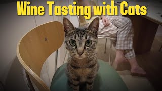 🍷 와인모임 ∥ 고양이들과 함께 작셀Serious wine tasting with Cats ∥ 작셀훌로보귀에라쇼 [upl. by Picardi775]