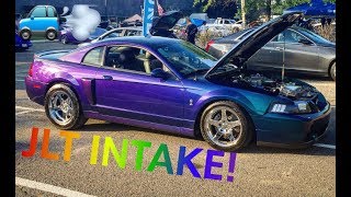 2004 Cobra JLT Short Ram Intake Sound  Supercharger Whine  Borla Exhaust [upl. by Esenahs]