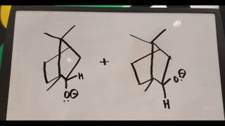 Reduction of Camphor to Borneol and Isoborneol [upl. by Yetah]