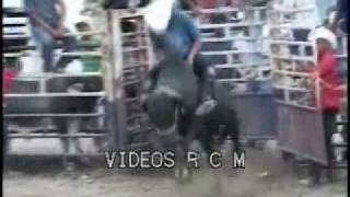 Jaripeos estilo san luis potosi [upl. by Noirred491]