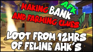 Farm Elite Clues Whilst Making AFK Bank Loot Fom 12 Hours of Feline Ahks Runescape 3 [upl. by Chae]