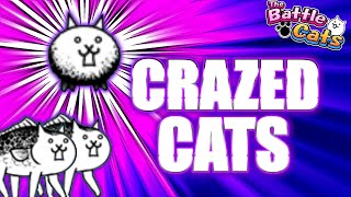 When Should You Get CRAZED CATS  The Battle Cats [upl. by Ztnarf]