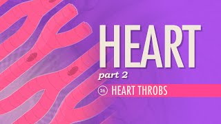 The Heart Part 2  Heart Throbs Crash Course Anatomy amp Physiology 26 [upl. by La Verne481]