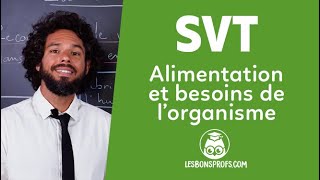 Alimentation et besoins de lorganisme  SVT  Sixième  Les Bons Profs [upl. by Annirtak]