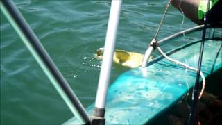 Fishing at Taung Dam [upl. by Aloysia]