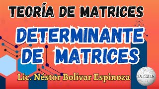 DETERMINANTE DE UNA MATRIZ [upl. by Noivaz]