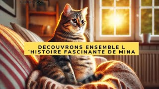 Faits apaisantsChats mignons l´histoire de la naissance dune famille shorts mignons cute cat [upl. by Peckham421]