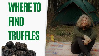 Where to Look For Truffles [upl. by Gregorio]