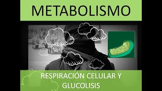 GLUCOLISIS Y RESPIRACIÓN CELULAR [upl. by Calli372]