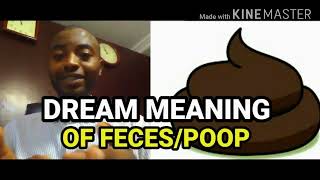 Biblical Meaning of Dream about Feces or Poop spiritualitytv [upl. by Eveineg862]