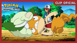 Scraggy y Cottonee  Pokémon Negro y Blanco  Clip oficial [upl. by Ahsemat]