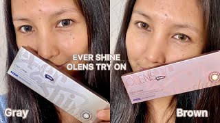 EVER SHINE Brown and Gray Contact Lens  OLENS Global  Tryon Comparison Review  Malaysia Blogger [upl. by Esmerolda650]